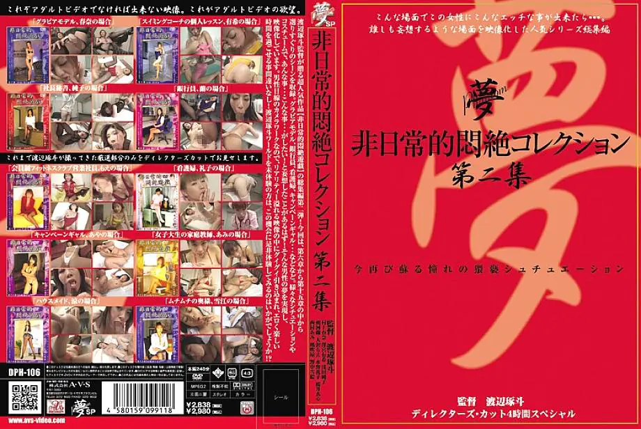 DPH-106 Extraordinary Agony Collection Vol.2 เรโกะ มิซูโนะ